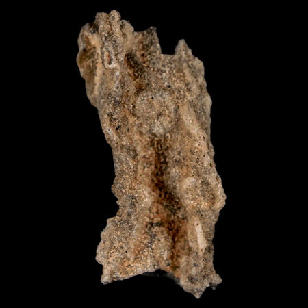 1.8" Fulgurite Petrified Lightning Strike Glass Sahara Desert Algeria