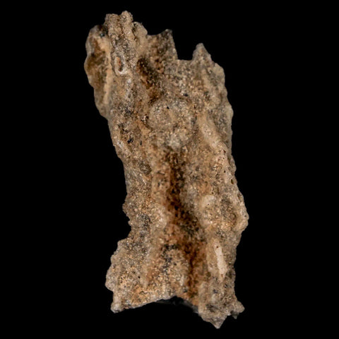 1.8" Fulgurite Petrified Lightning Strike Glass Sahara Desert Algeria - Fossil Age Minerals