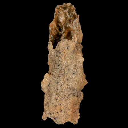 2.1" Fulgurite Petrified Lightning Strike Glass Sahara Desert Algeria