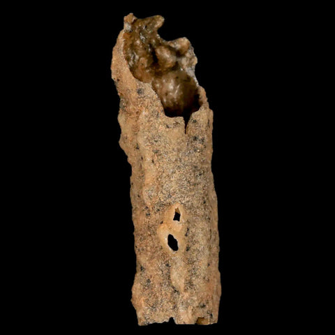 2.1" Fulgurite Petrified Lightning Strike Glass Sahara Desert Algeria - Fossil Age Minerals