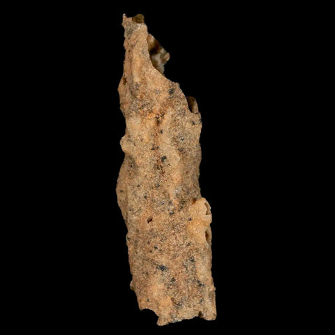 2.1" Fulgurite Petrified Lightning Strike Glass Sahara Desert Algeria - Fossil Age Minerals