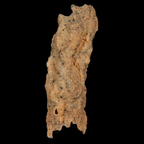 2.1" Fulgurite Petrified Lightning Strike Glass Sahara Desert Algeria - Fossil Age Minerals
