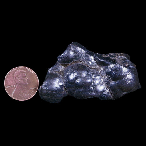 2.1" Hematite Botryoidal Kidney Ore Rock Mineral Specimen Irhoud Mine, Morocco - Fossil Age Minerals