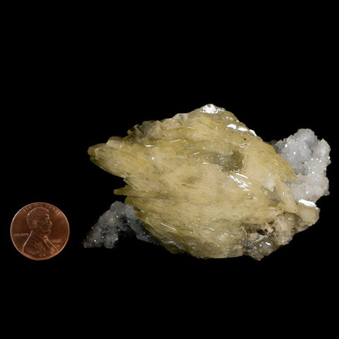 3.4" Barite Blades, Pyrite And Crystal Quartz Minerals Bou Nahas Mine Morocco - Fossil Age Minerals