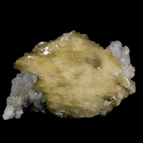3.4" Barite Blades, Pyrite And Crystal Quartz Minerals Bou Nahas Mine Morocco - Fossil Age Minerals
