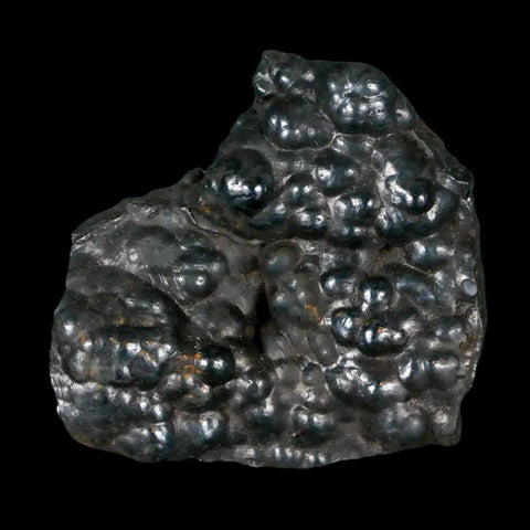 2.1" Hematite Botryoidal Kidney Ore Rock Mineral Specimen Irhoud Mine, Morocco - Fossil Age Minerals