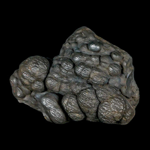 2.8" Hematite Botryoidal Kidney Ore Rock Mineral Specimen Irhoud Mine, Morocco - Fossil Age Minerals