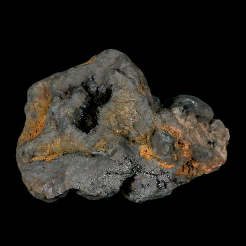 2.8" Hematite Botryoidal Kidney Ore Rock Mineral Specimen Irhoud Mine, Morocco - Fossil Age Minerals