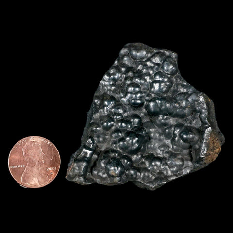 2.2" Hematite Botryoidal Kidney Ore Rock Mineral Specimen Irhoud Mine, Morocco - Fossil Age Minerals