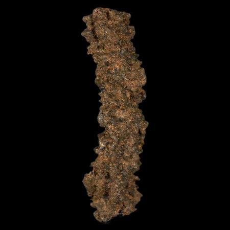1.9" Fulgurite Petrified Lightning Strike Glass Sahara Desert Algeria
