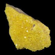 5.9" Rough Bright Yellow Sulfur Crystal Cluster On Matrix El Desierto Mine Bolivia
