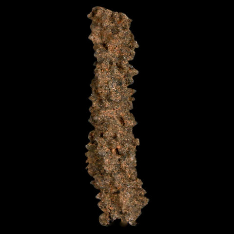 1.9" Fulgurite Petrified Lightning Strike Glass Sahara Desert Algeria - Fossil Age Minerals