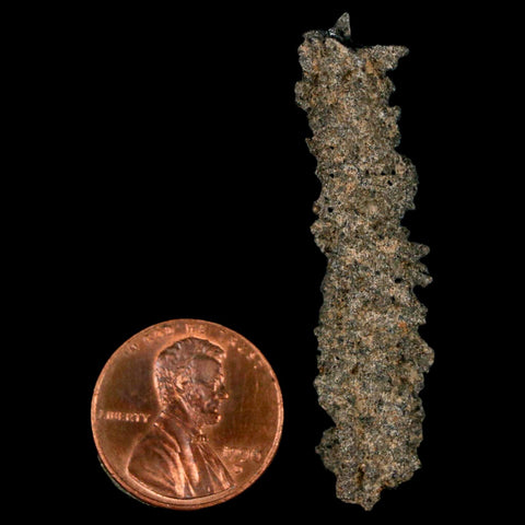 1.9" Fulgurite Petrified Lightning Strike Glass Sahara Desert Algeria - Fossil Age Minerals