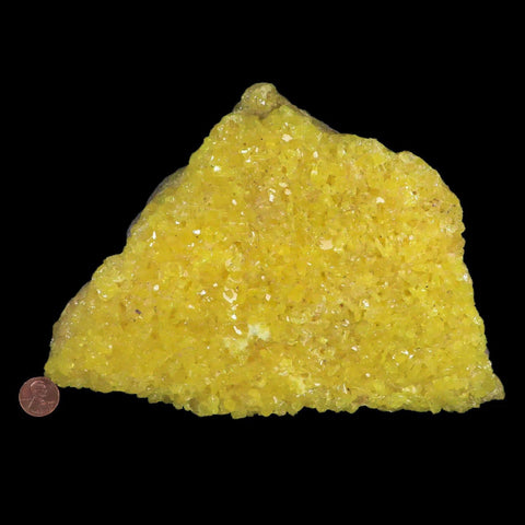 XL 9" Rough Bright Yellow Sulfur Crystal Cluster On Matrix El Desierto Mine Bolivia - Fossil Age Minerals