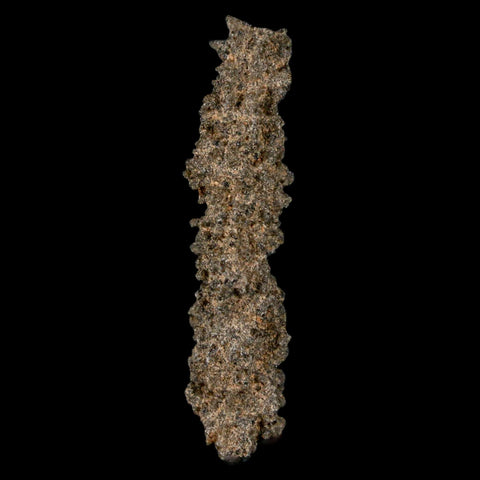 1.9" Fulgurite Petrified Lightning Strike Glass Sahara Desert Algeria - Fossil Age Minerals
