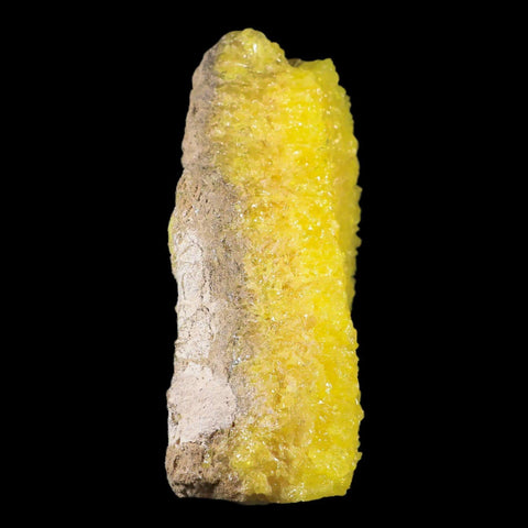XL 9" Rough Bright Yellow Sulfur Crystal Cluster On Matrix El Desierto Mine Bolivia - Fossil Age Minerals