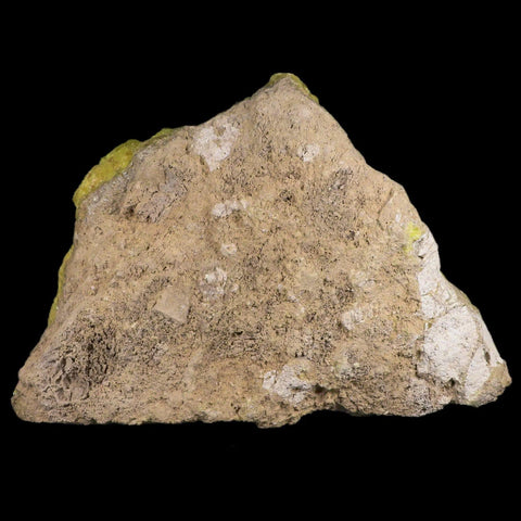 XL 9" Rough Bright Yellow Sulfur Crystal Cluster On Matrix El Desierto Mine Bolivia - Fossil Age Minerals