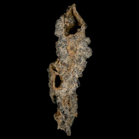 2.5" Fulgurite Petrified Lightning Strike Glass Sahara Desert Algeria