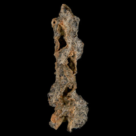 2.5" Fulgurite Petrified Lightning Strike Glass Sahara Desert Algeria - Fossil Age Minerals
