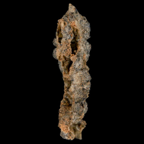 2.5" Fulgurite Petrified Lightning Strike Glass Sahara Desert Algeria - Fossil Age Minerals