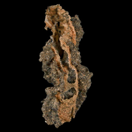 1.6" Fulgurite Petrified Lightning Strike Glass Sahara Desert Algeria