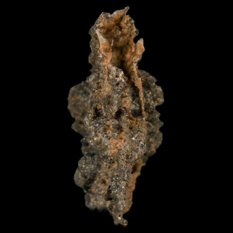 1.6" Fulgurite Petrified Lightning Strike Glass Sahara Desert Algeria - Fossil Age Minerals