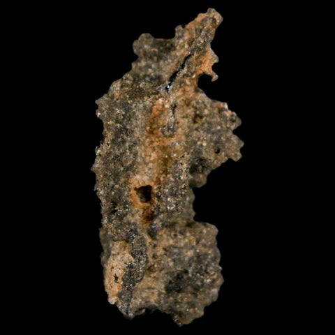 1.6" Fulgurite Petrified Lightning Strike Glass Sahara Desert Algeria - Fossil Age Minerals