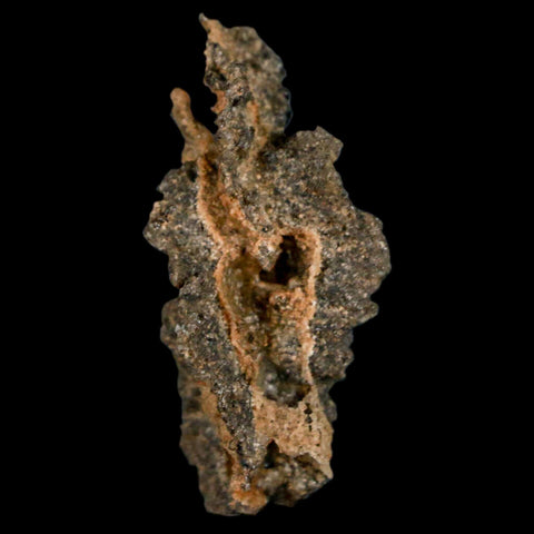 1.6" Fulgurite Petrified Lightning Strike Glass Sahara Desert Algeria - Fossil Age Minerals