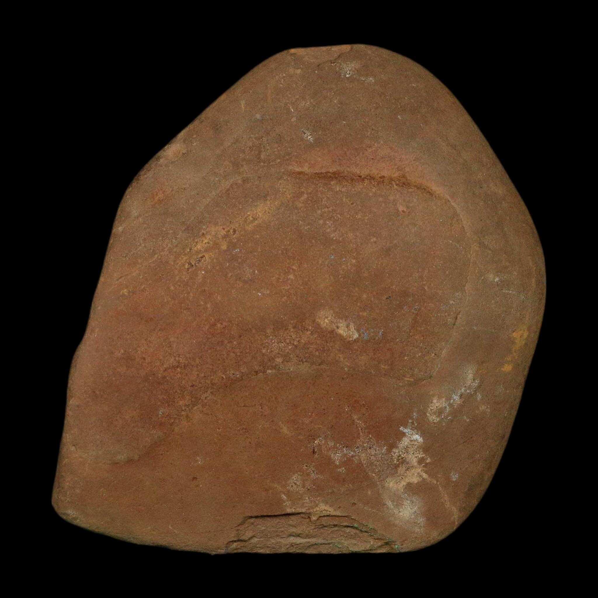 4.1" Lobatopteris Fossils Leaves Mazon Creek Nodule Pennsylvanian Age Split-Pair - Fossil Age Minerals