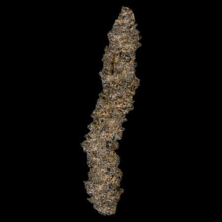 2.5" Fulgurite Petrified Lightning Strike Glass Sahara Desert Algeria