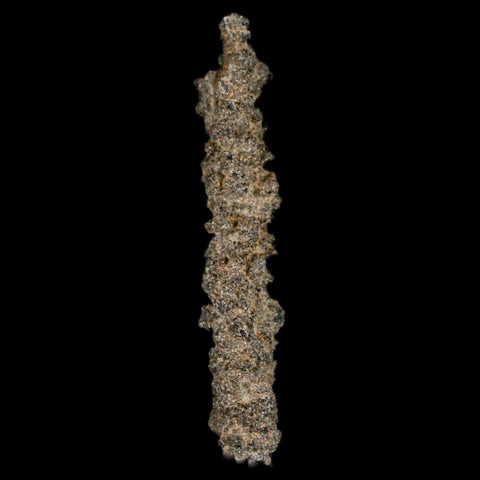 2.5" Fulgurite Petrified Lightning Strike Glass Sahara Desert Algeria - Fossil Age Minerals