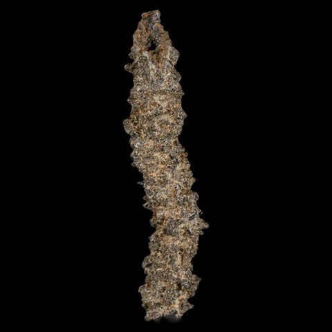 2.5" Fulgurite Petrified Lightning Strike Glass Sahara Desert Algeria - Fossil Age Minerals