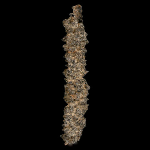 2.5" Fulgurite Petrified Lightning Strike Glass Sahara Desert Algeria - Fossil Age Minerals