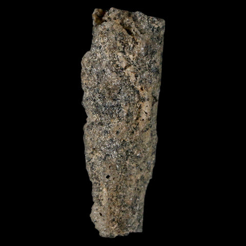 1.6" Fulgurite Petrified Lightning Strike Glass Sahara Desert Algeria - Fossil Age Minerals