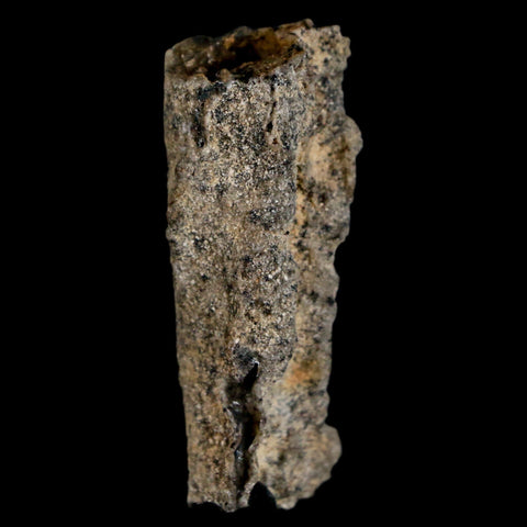 1.6" Fulgurite Petrified Lightning Strike Glass Sahara Desert Algeria - Fossil Age Minerals