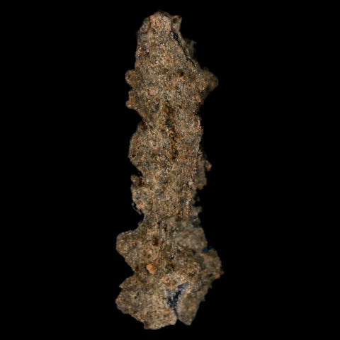 1.8" Fulgurite Petrified Lightning Strike Glass Sahara Desert Algeria - Fossil Age Minerals