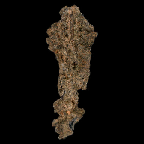 1.8" Fulgurite Petrified Lightning Strike Glass Sahara Desert Algeria - Fossil Age Minerals