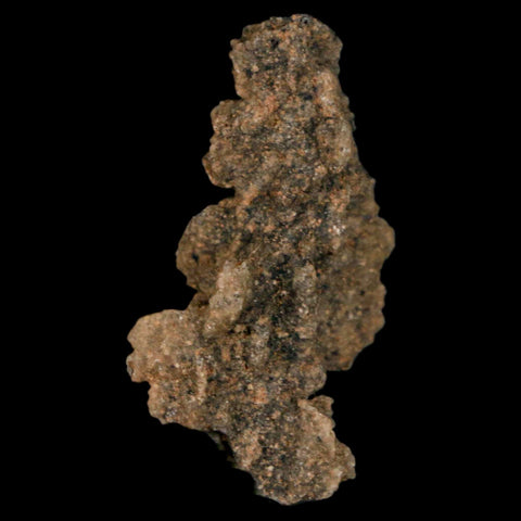 1.7" Fulgurite Petrified Lightning Strike Glass Sahara Desert Algeria - Fossil Age Minerals