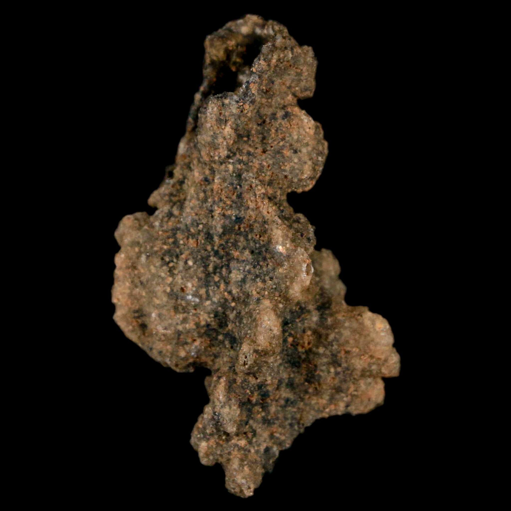 1.7" Fulgurite Petrified Lightning Strike Glass Sahara Desert Algeria - Fossil Age Minerals