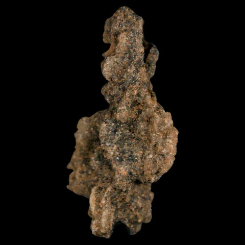 1.7" Fulgurite Petrified Lightning Strike Glass Sahara Desert Algeria - Fossil Age Minerals