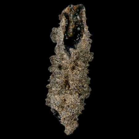 1.8" Fulgurite Petrified Lightning Strike Glass Sahara Desert Algeria