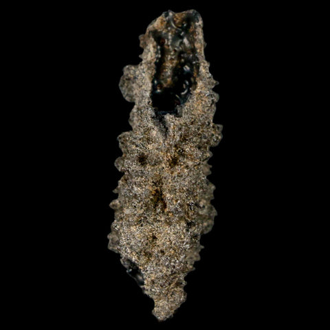 1.8" Fulgurite Petrified Lightning Strike Glass Sahara Desert Algeria - Fossil Age Minerals