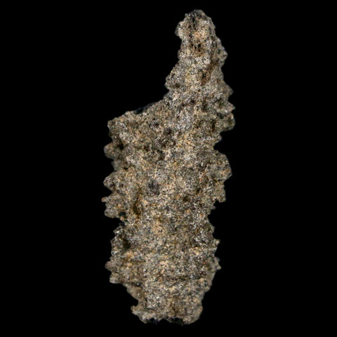 1.8" Fulgurite Petrified Lightning Strike Glass Sahara Desert Algeria - Fossil Age Minerals