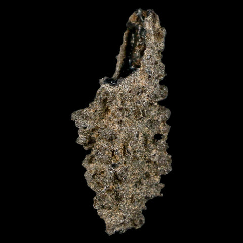 1.8" Fulgurite Petrified Lightning Strike Glass Sahara Desert Algeria - Fossil Age Minerals