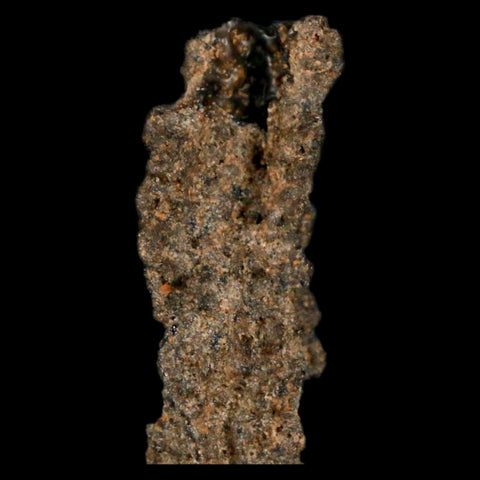 1.7" Fulgurite Petrified Lightning Strike Glass Sahara Desert Algeria - Fossil Age Minerals