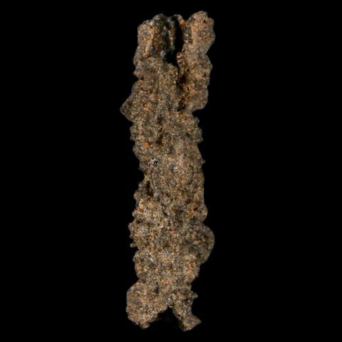 1.7" Fulgurite Petrified Lightning Strike Glass Sahara Desert Algeria - Fossil Age Minerals