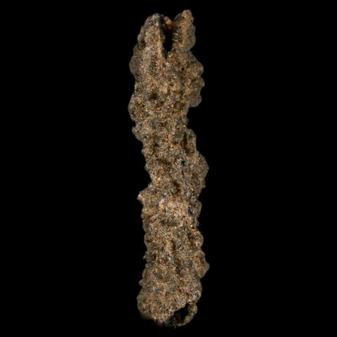 1.7" Fulgurite Petrified Lightning Strike Glass Sahara Desert Algeria - Fossil Age Minerals