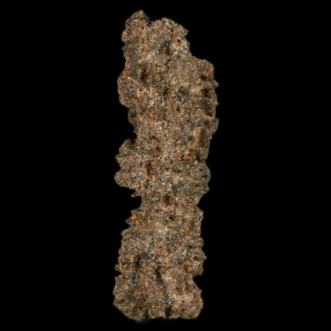 1.7" Fulgurite Petrified Lightning Strike Glass Sahara Desert Algeria - Fossil Age Minerals