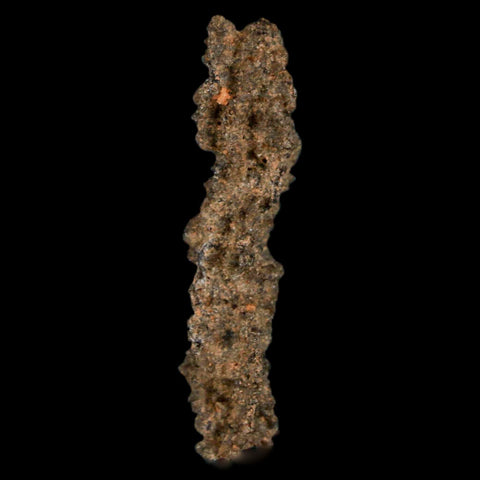1.7" Fulgurite Petrified Lightning Strike Glass Sahara Desert Algeria - Fossil Age Minerals