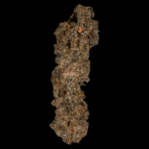 1.7" Fulgurite Petrified Lightning Strike Glass Sahara Desert Algeria - Fossil Age Minerals